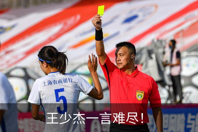 王少杰一言难尽！