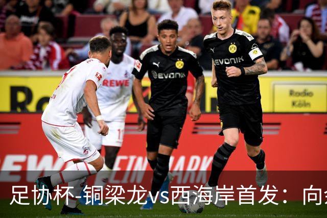 足协杯-铜梁龙vs西海岸首发：向余望、杜月徵、李昊、张修维出战